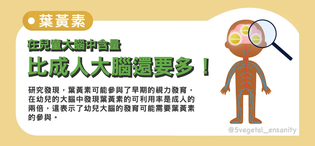 下載