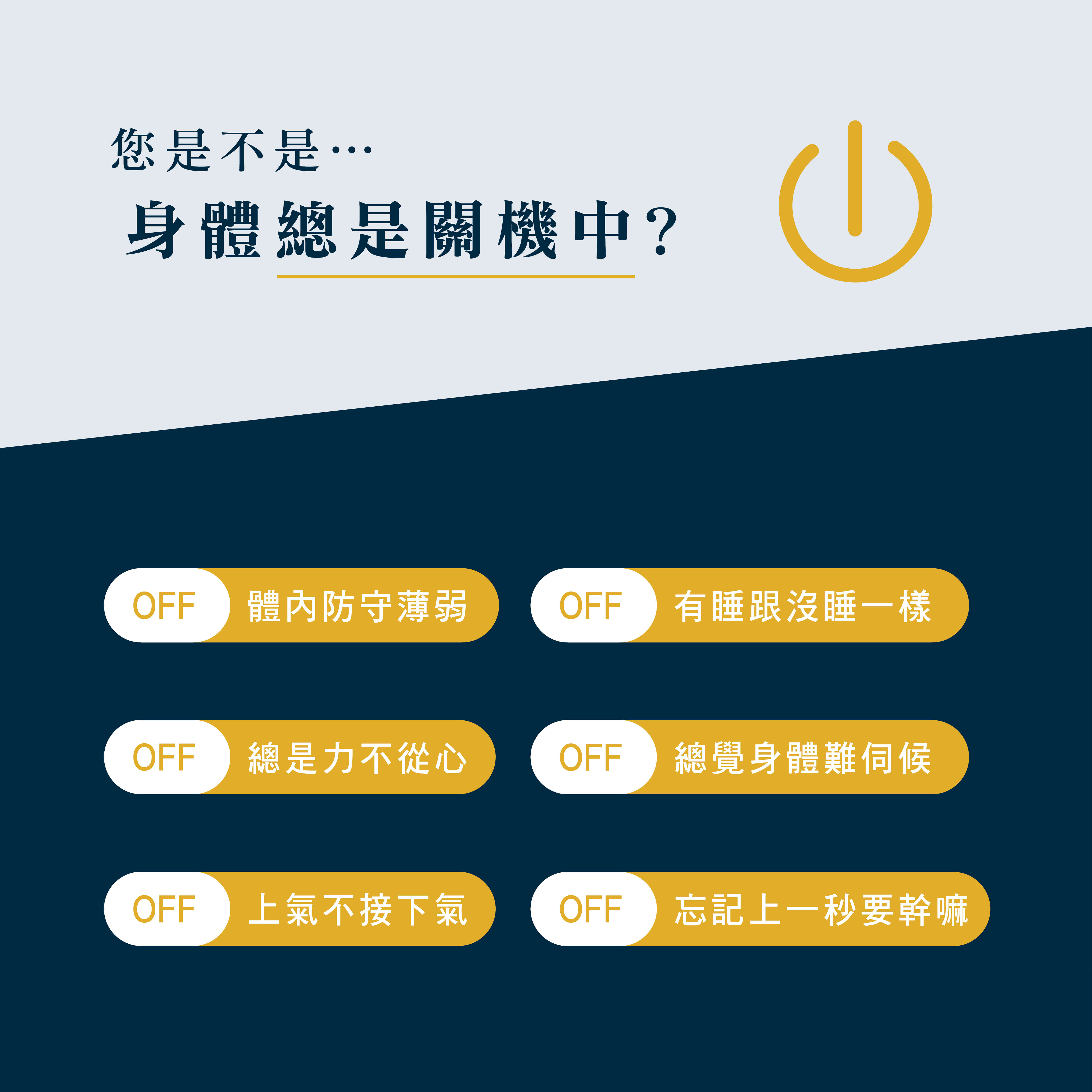 褐藻粉末商品頁_202502修-03