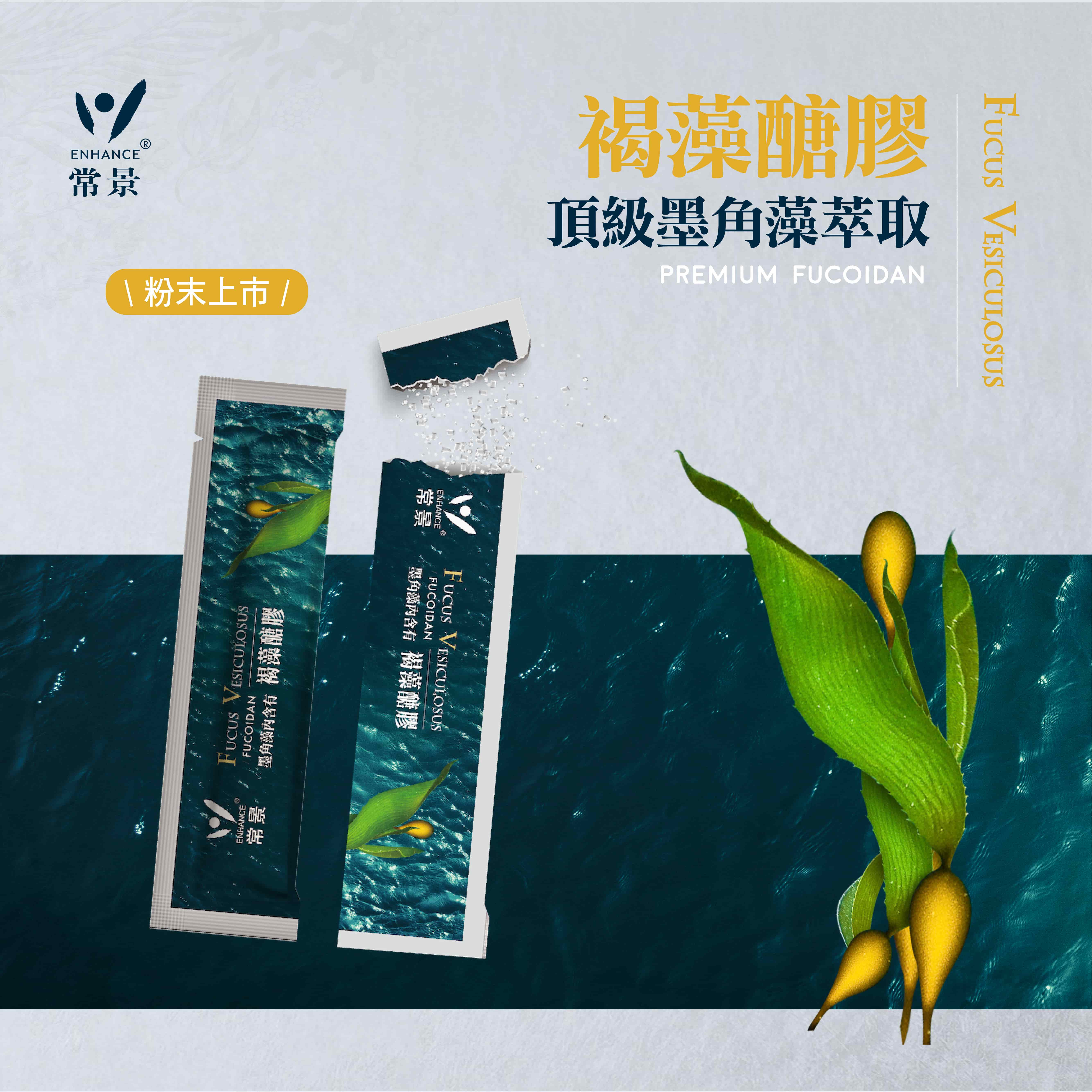 褐藻粉末商品頁_202502修_工作區域 1