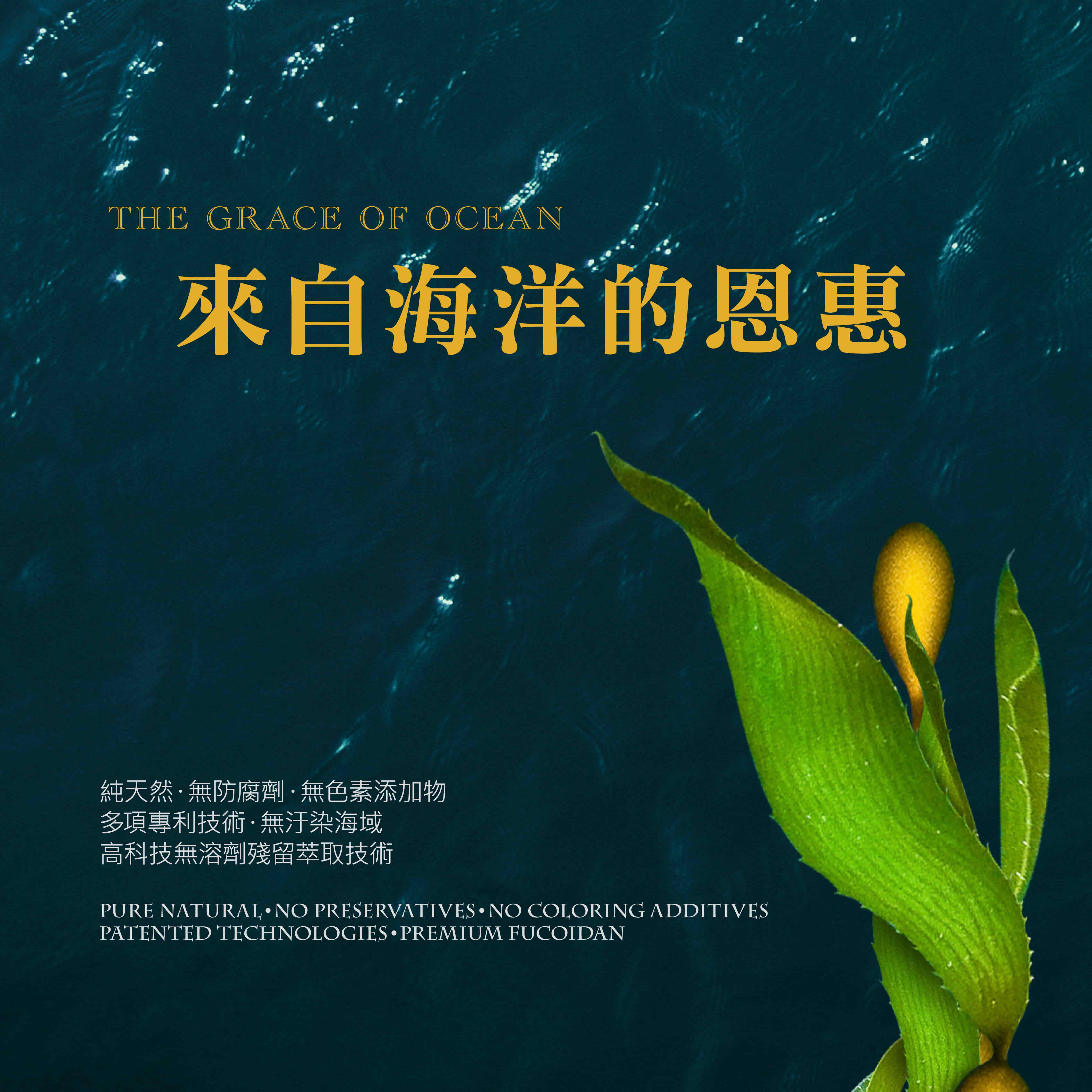褐藻粉末商品頁_202502修-02