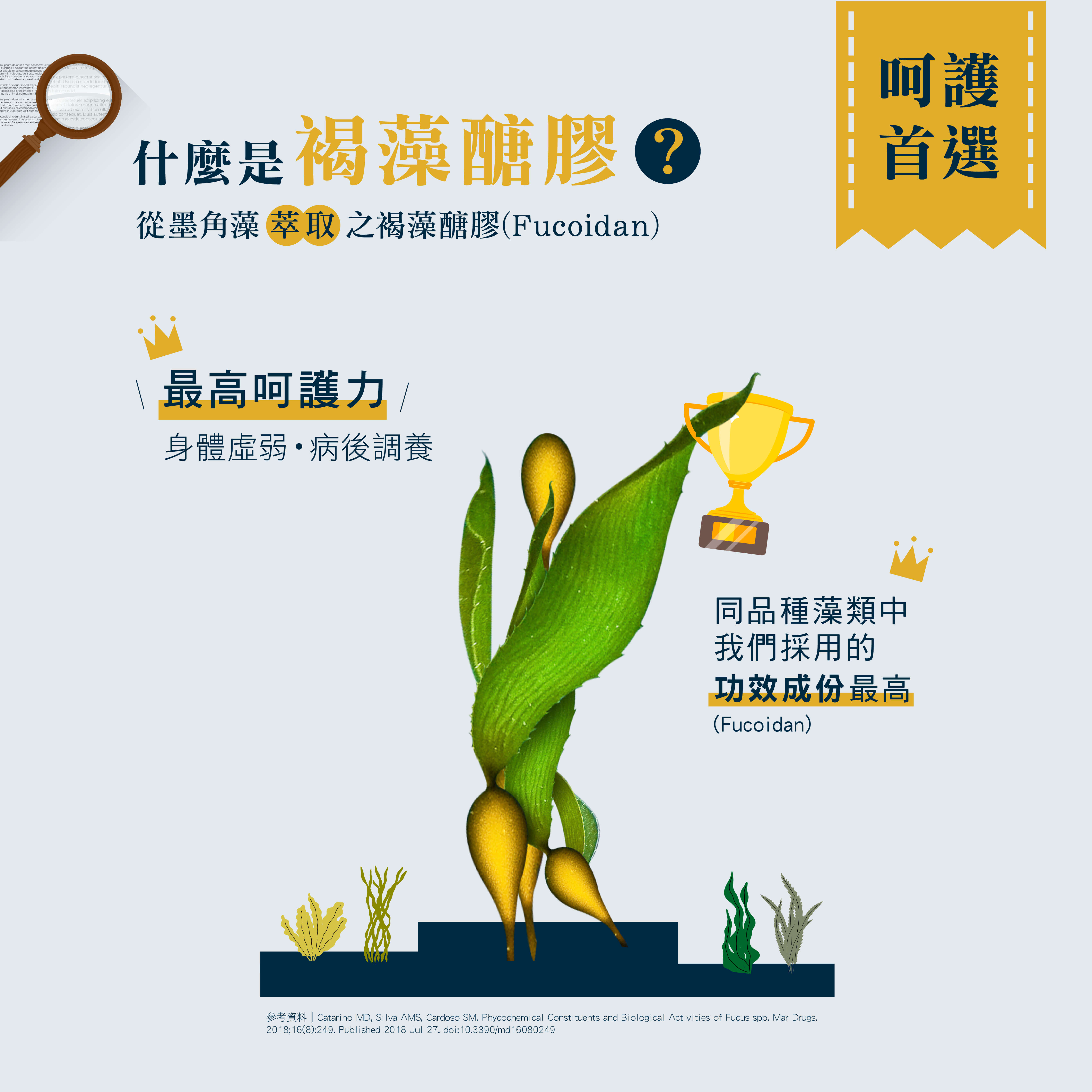 褐藻粉末商品頁_202502修-07