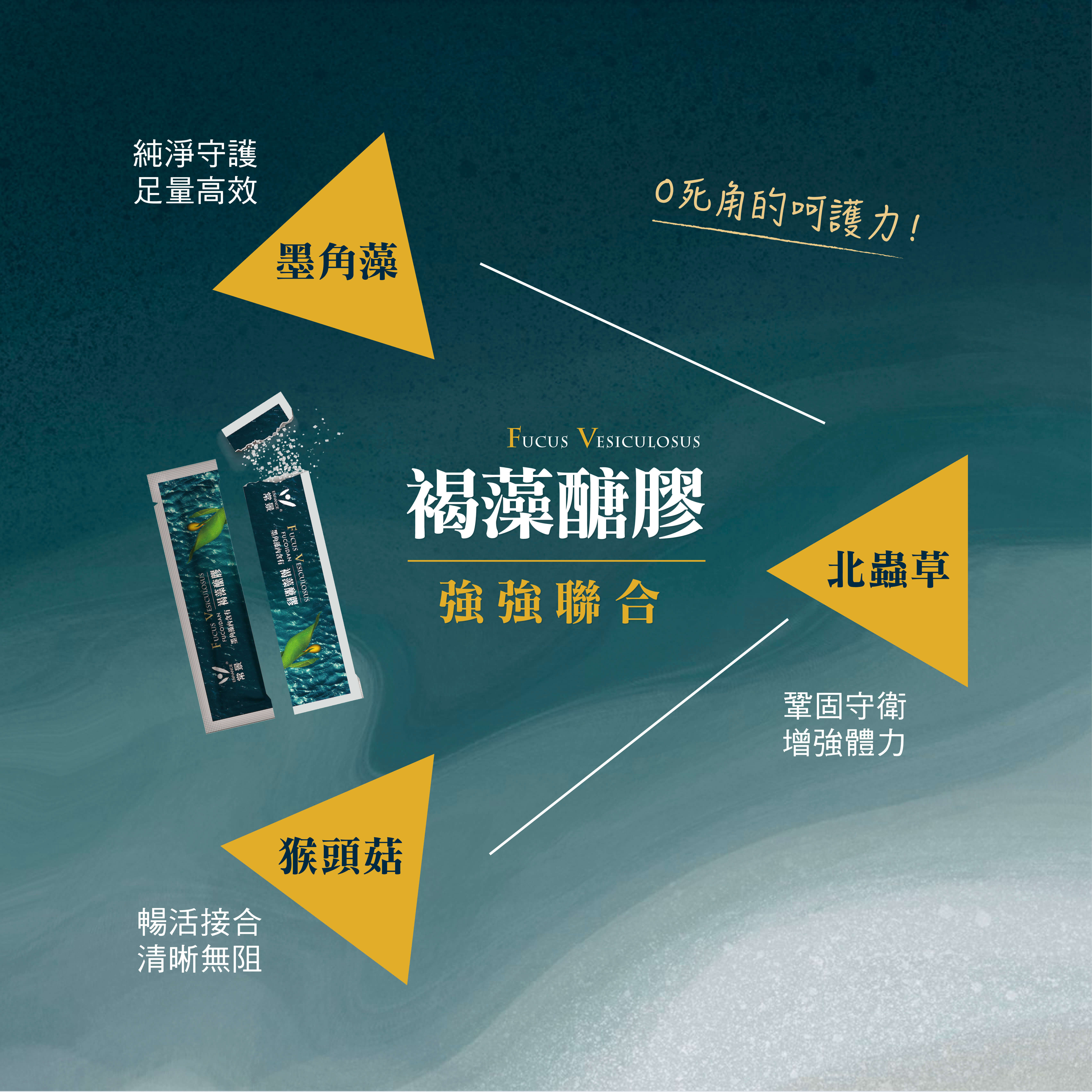 褐藻粉末商品頁_202502修-05