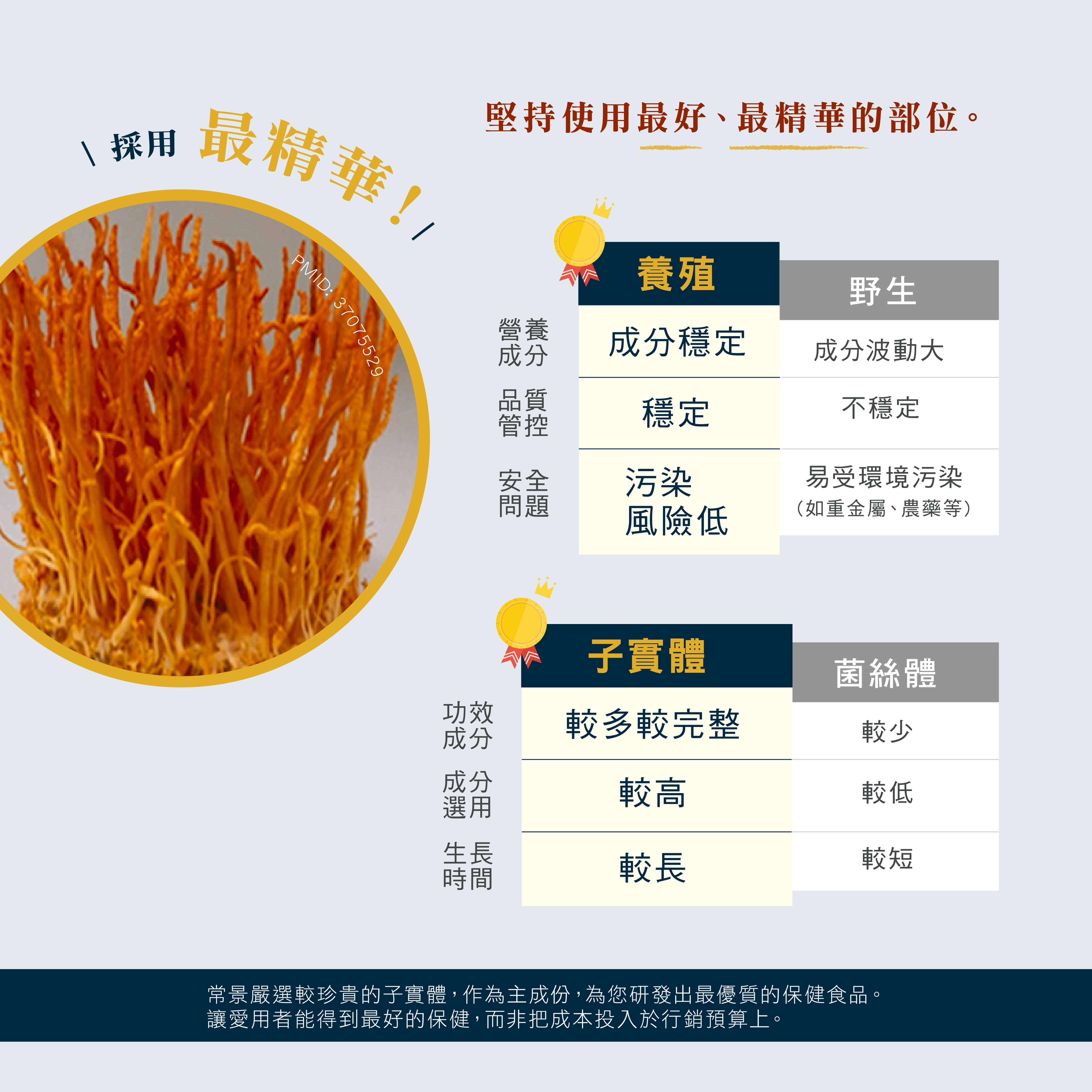 褐藻粉末商品頁_202502修-12
