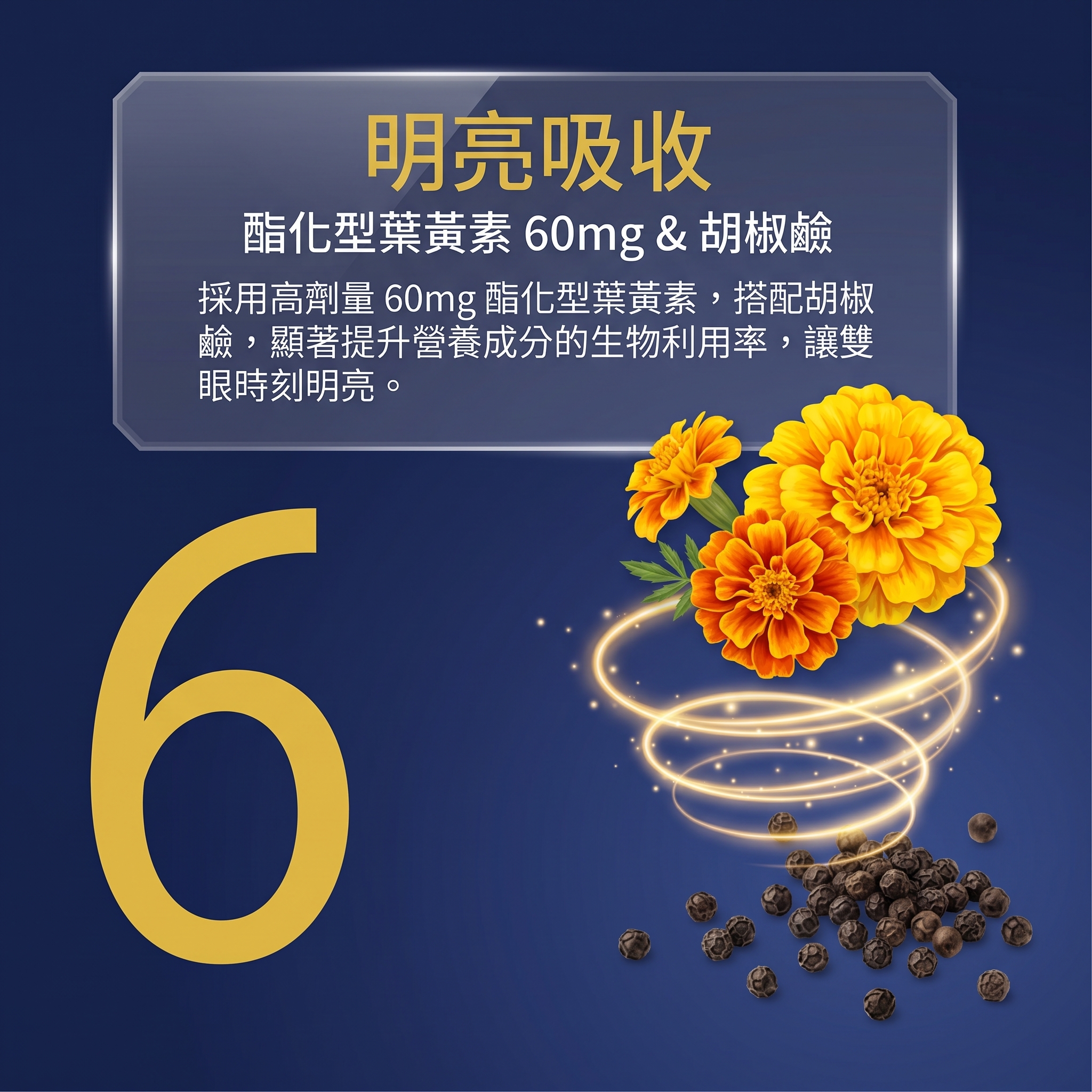 金燦飲-介紹9-2