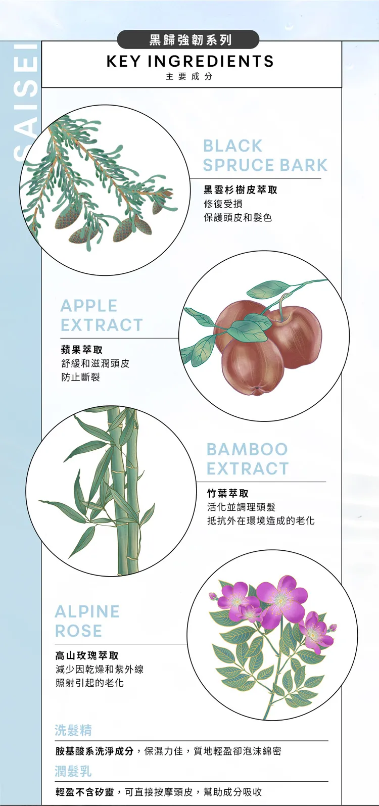 黑歸系列-洗潤髮_03