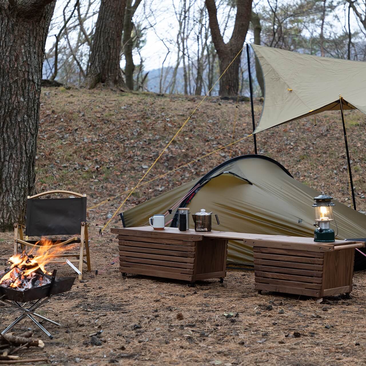 b09581ac7224d8073866bcd9d43608c8