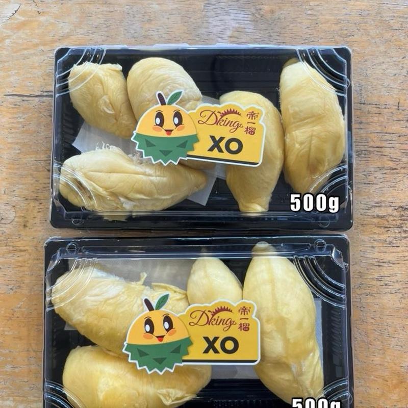 XO 1KG