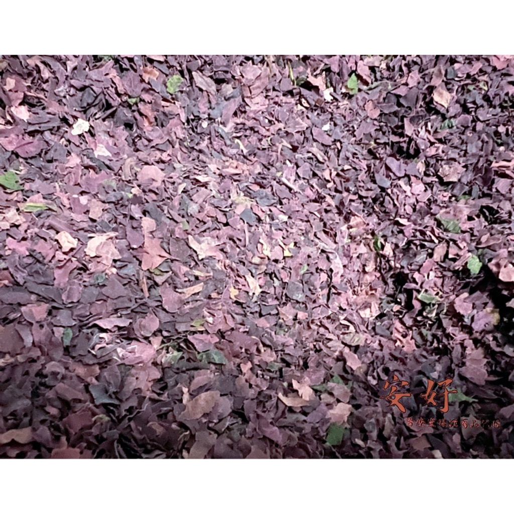 tw-11134207-23020-5heot543z8mvc3