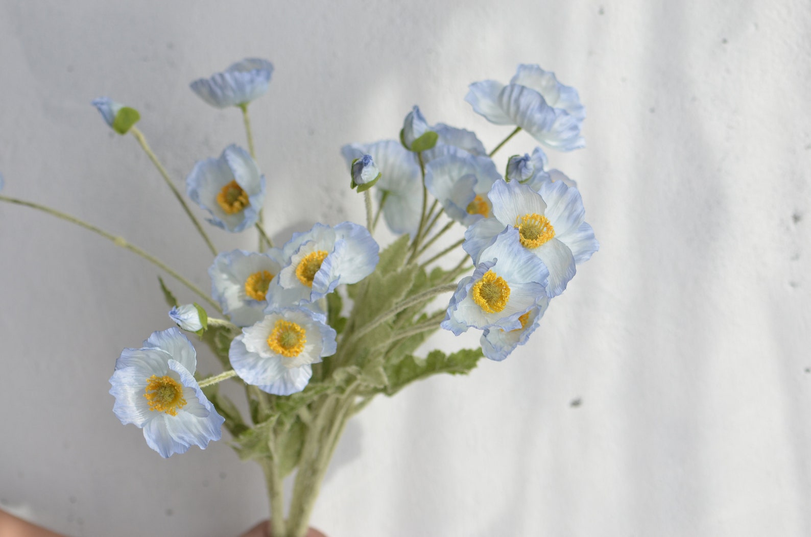 il_1588xN.4652564164_iukn