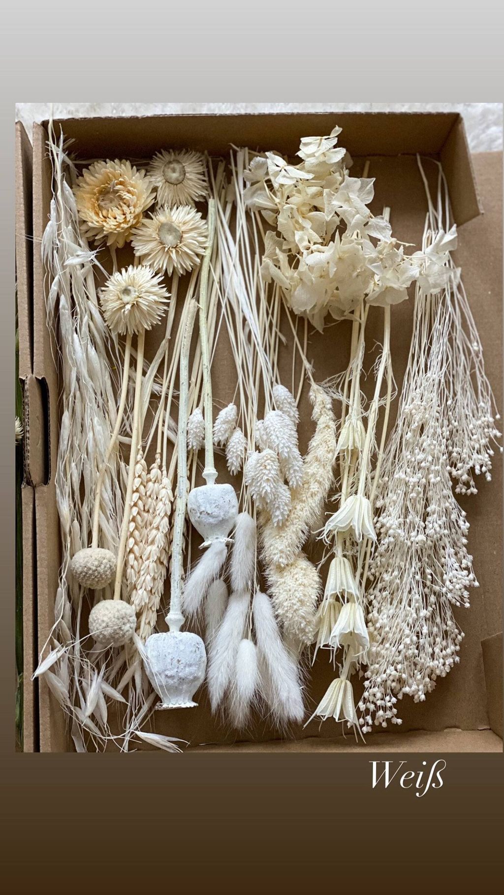 il_1588xN.4803836697_b3yf