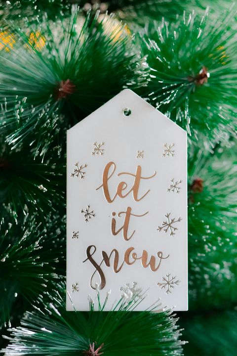 pexels-djordje-vezilic-59599374-10278997