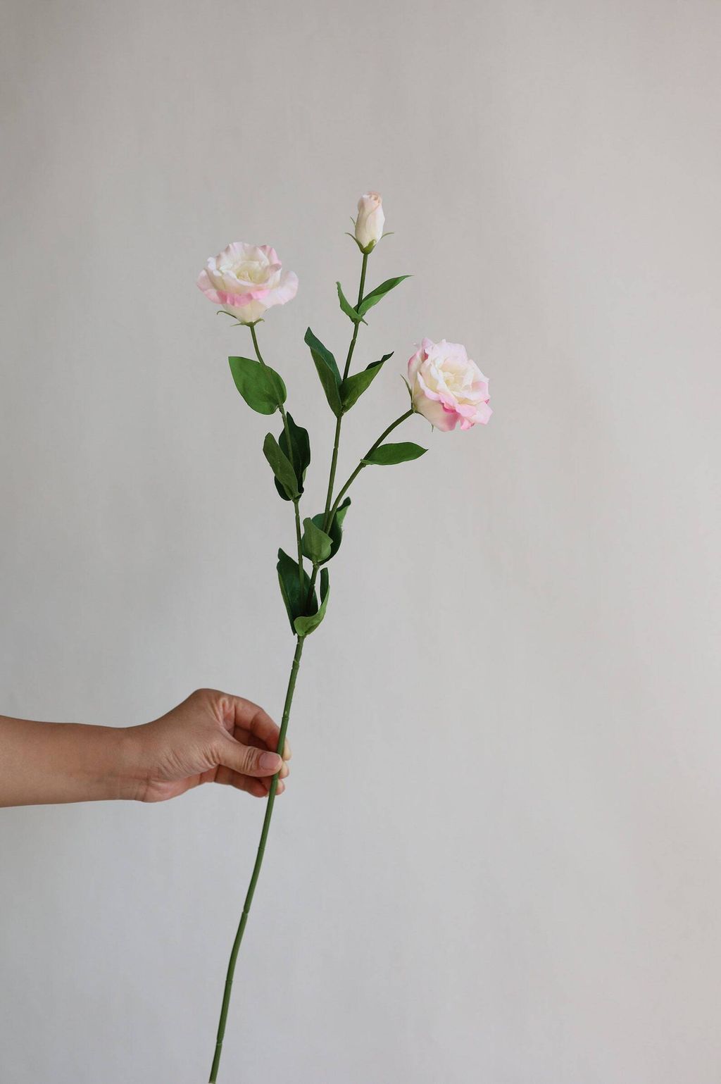 il_1588xN.5569756761_r5mq