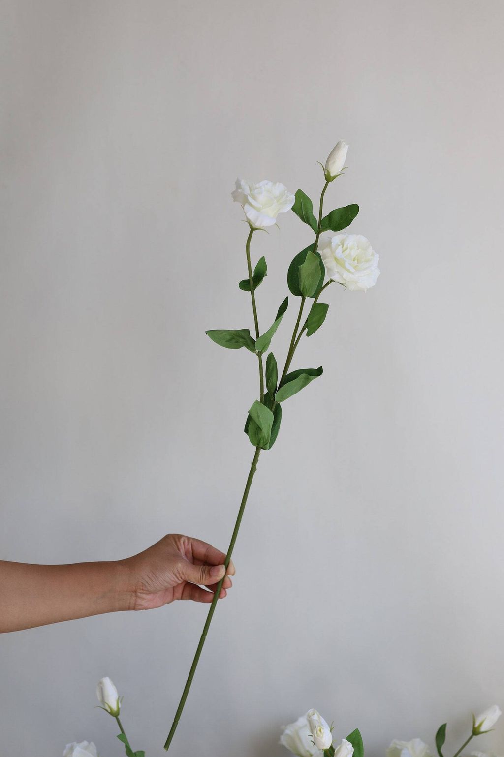 il_1588xN.5560462963_g52v