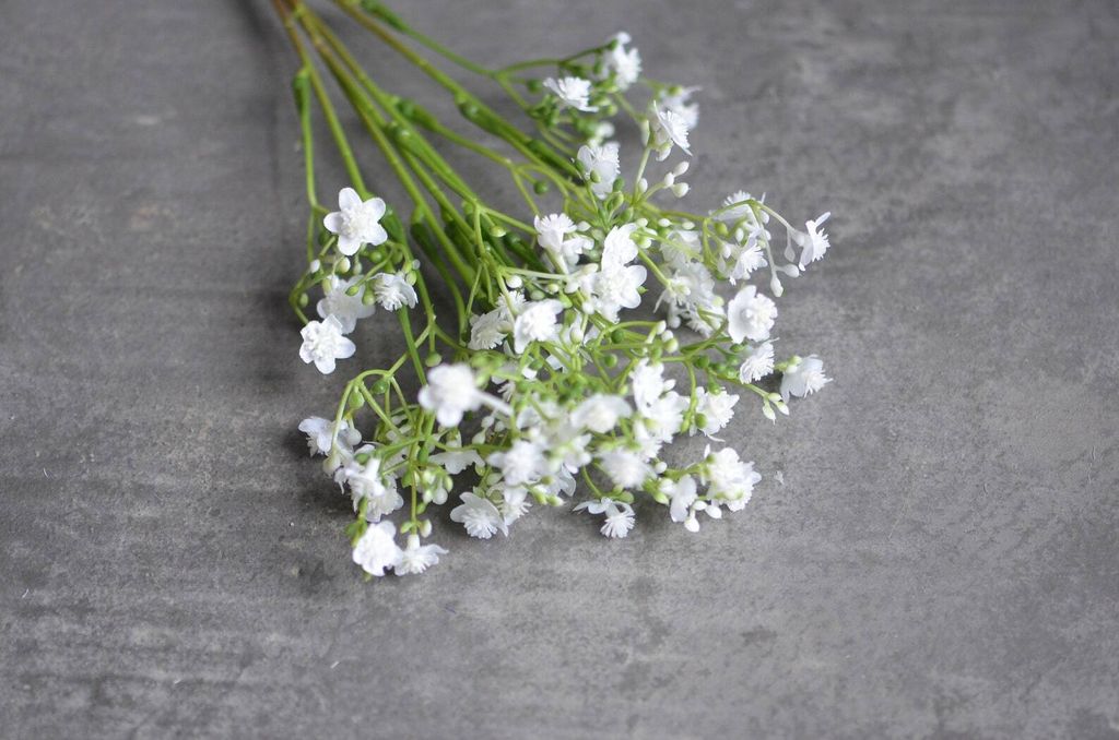 il_1588xN.3780894458_sdl3