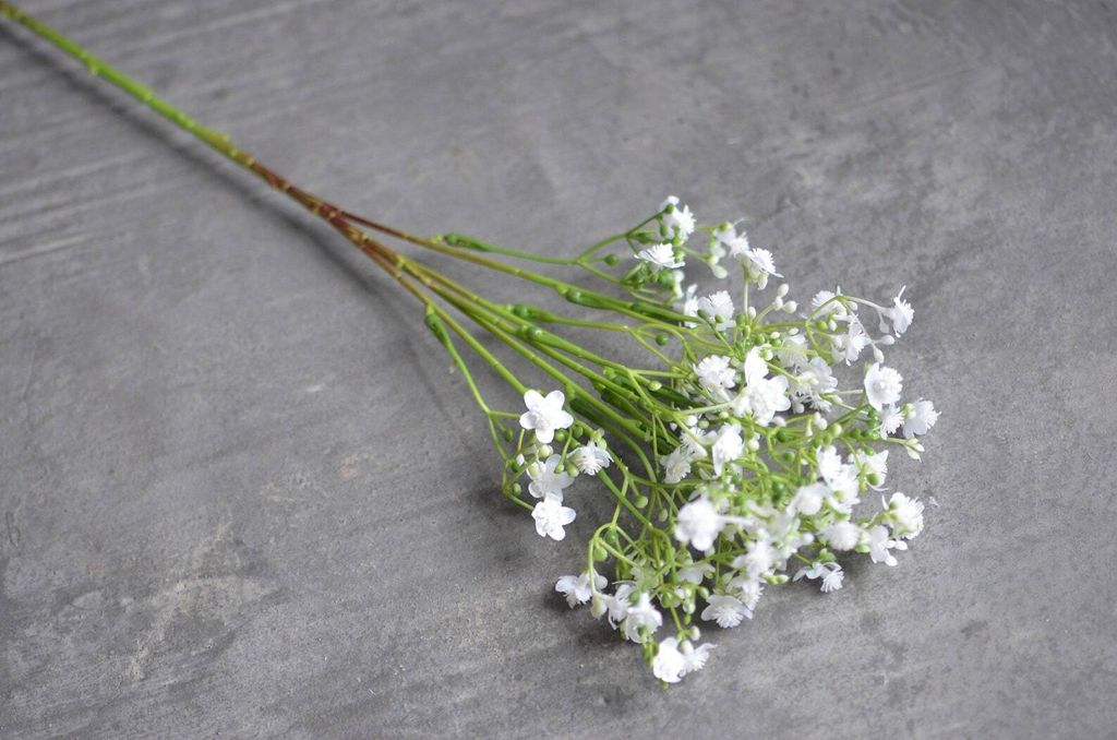 il_1588xN.3780894408_1u9k