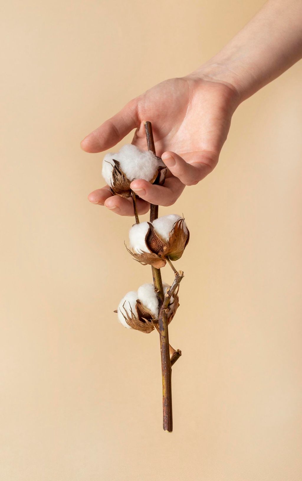 composition-beautiful-mother-s-day-elements