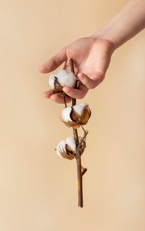 composition-beautiful-mother-s-day-elements