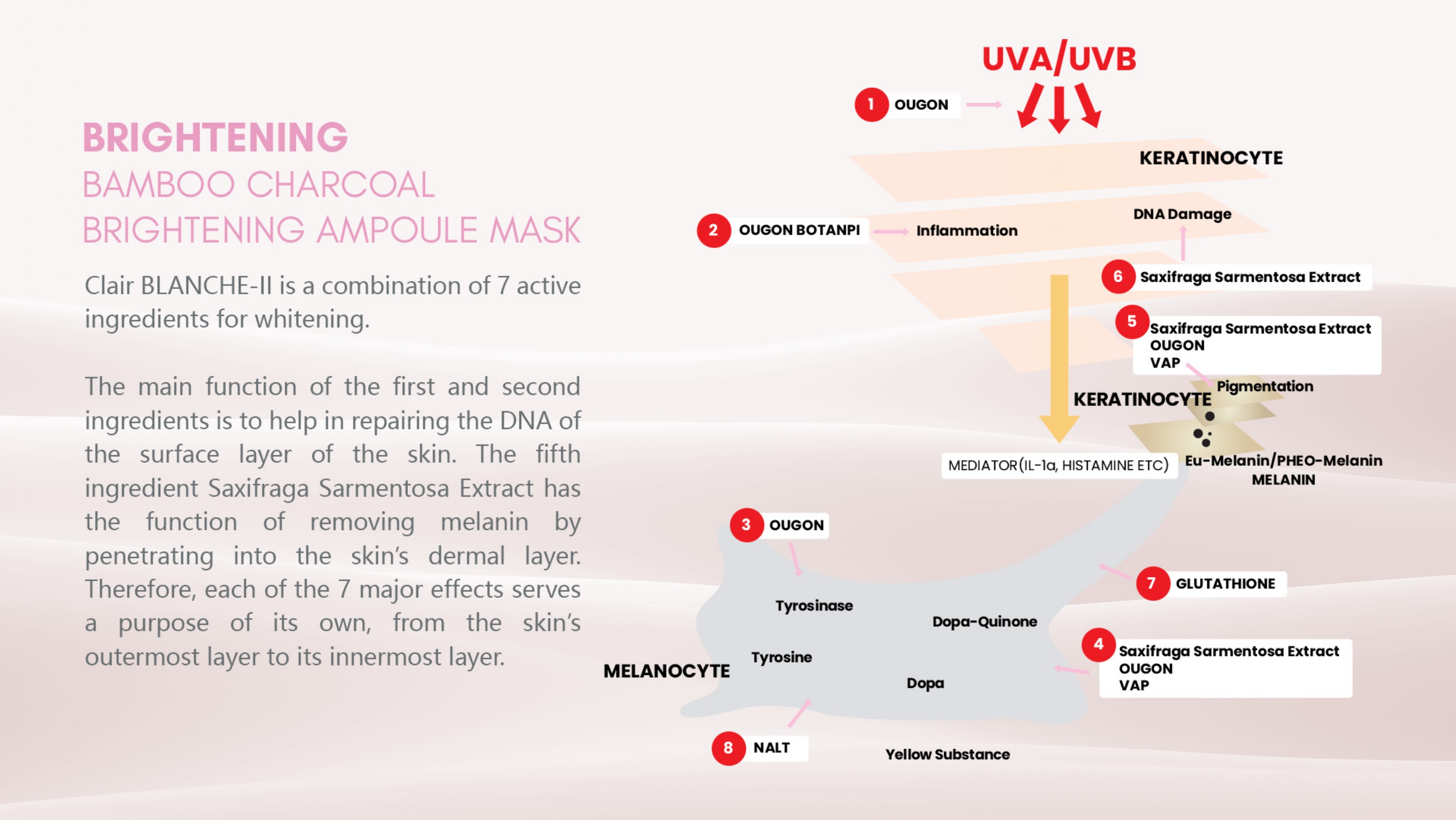 ENG MINS Ampoule Mask_pages-to-jpg-0010