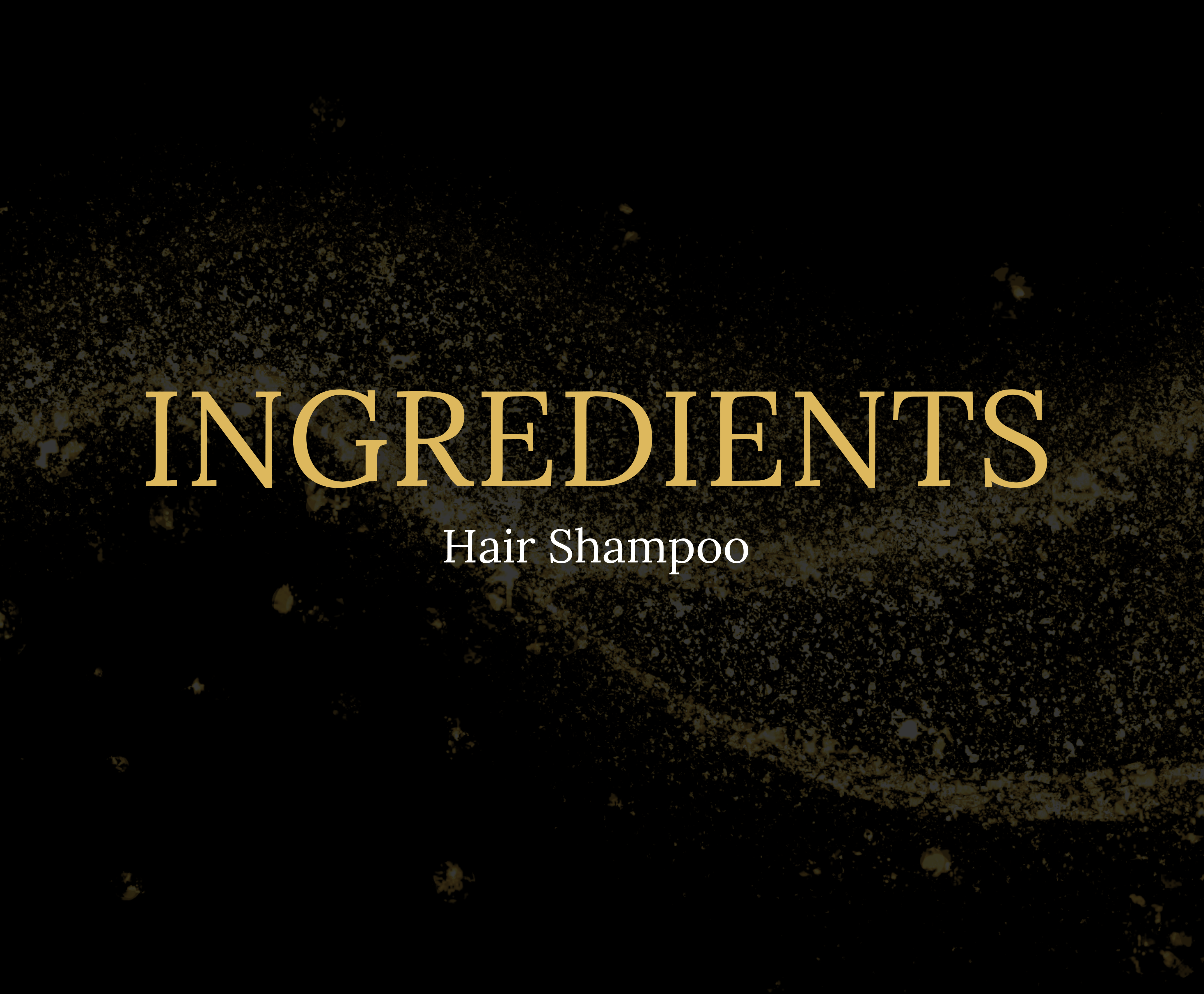 Black and Gold Elegant Thank You Banner Landscape (5)