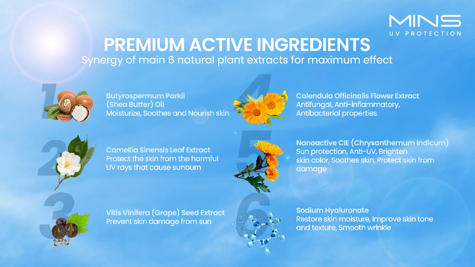 MINS UV Protection English_007