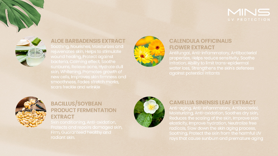 MINS UV Protection English_010