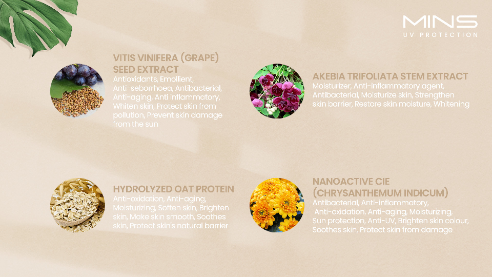 MINS UV Protection English_011