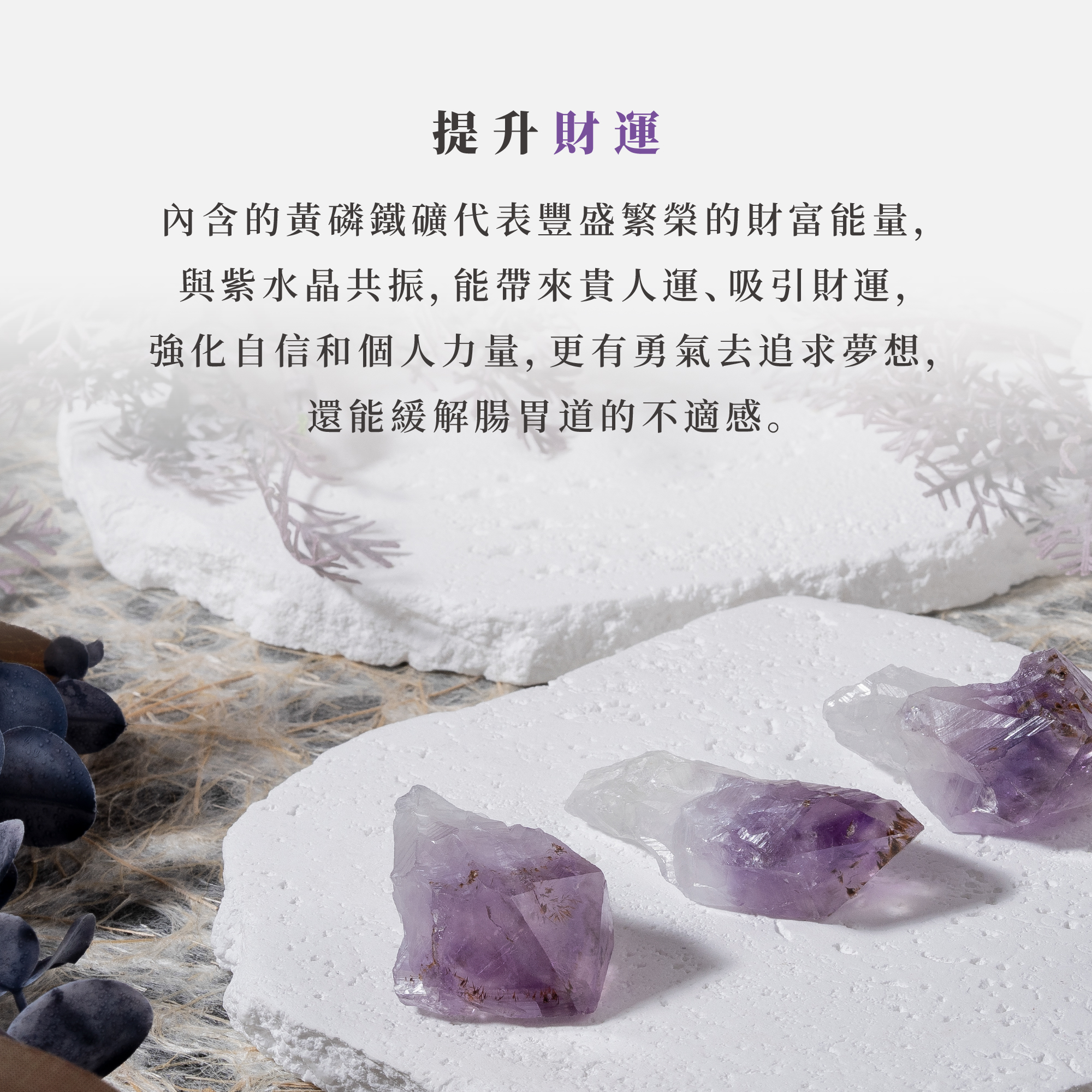 D37702 紫鈦晶骨幹_產品說明頁_04