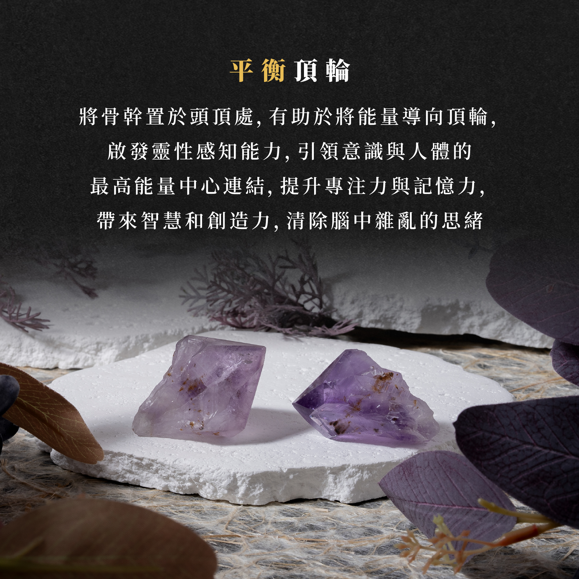 D37702 紫鈦晶骨幹_產品說明頁_05