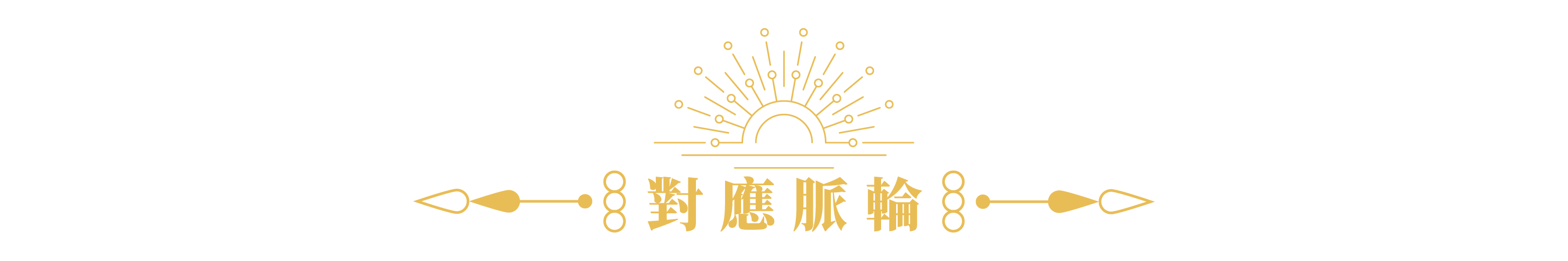 D14601黑碧璽5.5-6.5mm_產品說明頁_08