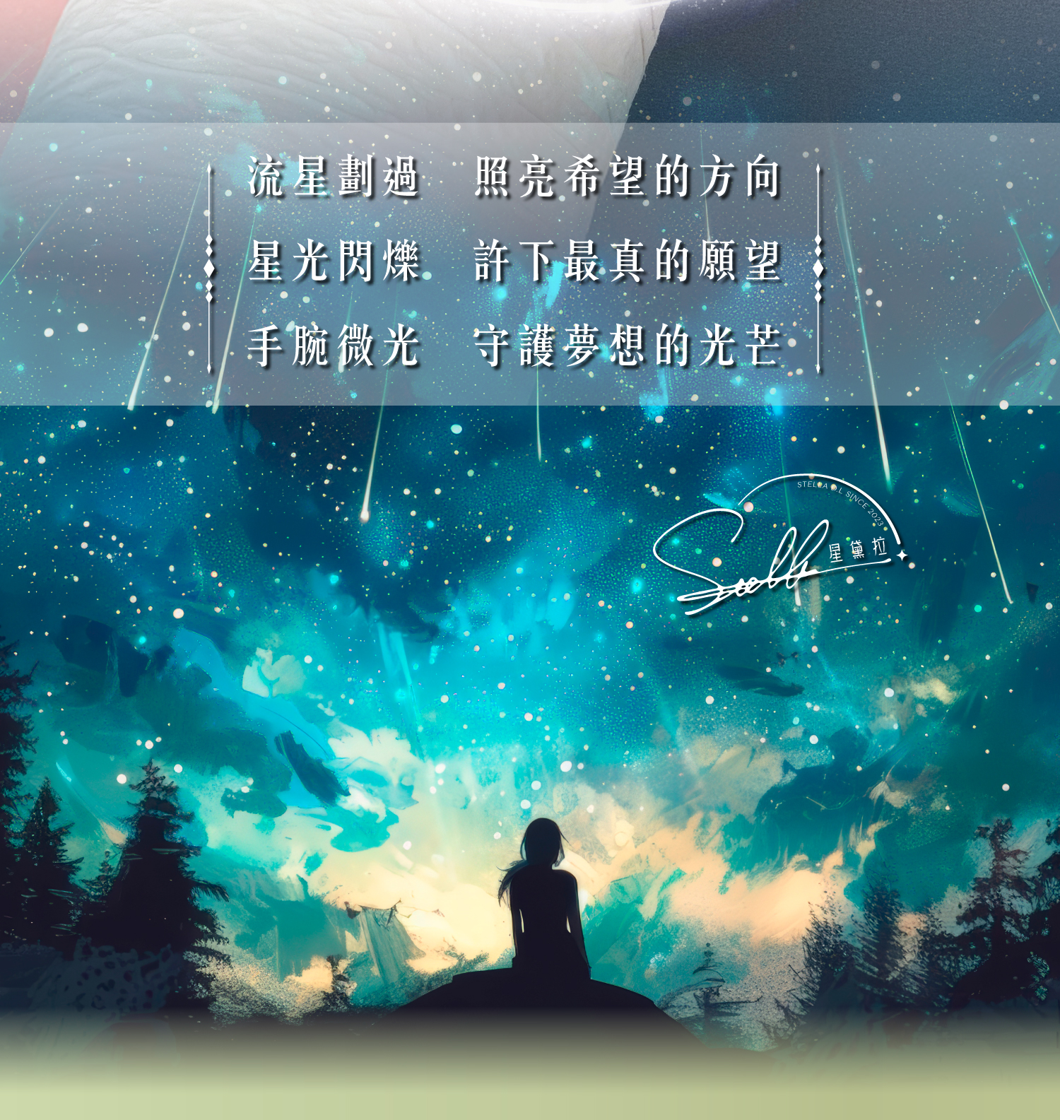 D25003-流星_產品說明頁-02