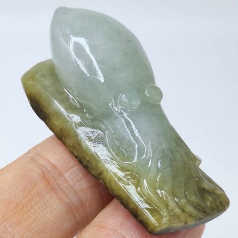 tw-11134207-7r98s-lzidom0erugkd7