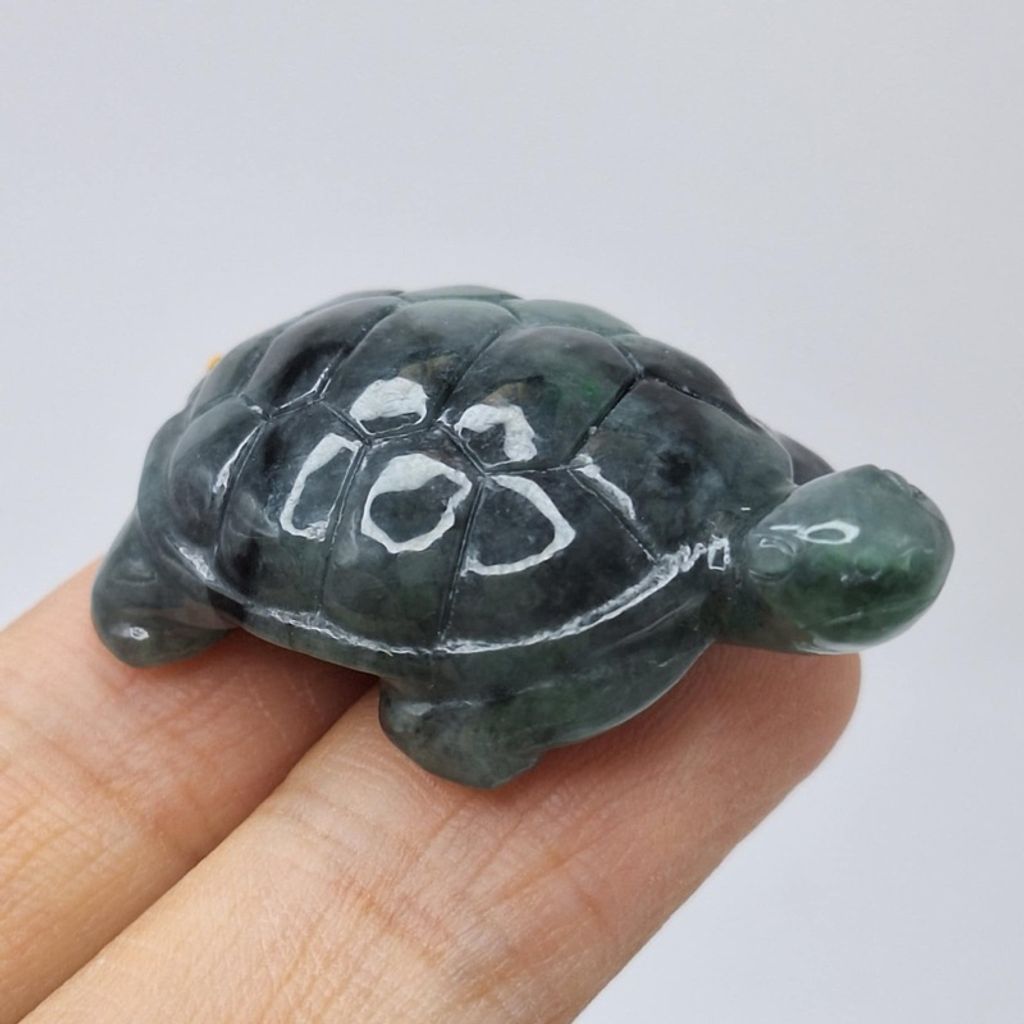 tw-11134207-7r991-lylwda8k3enoec