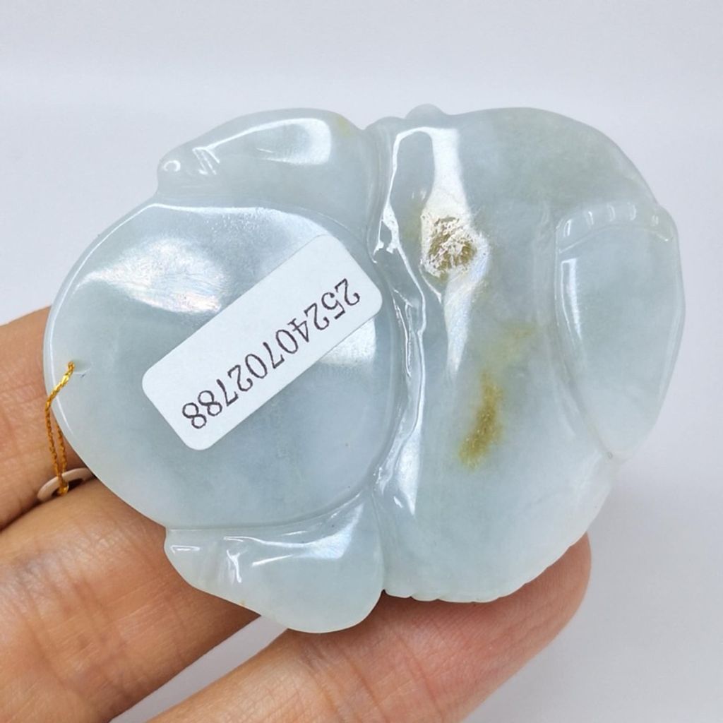 tw-11134207-7r98z-lyyhwfwwlov288