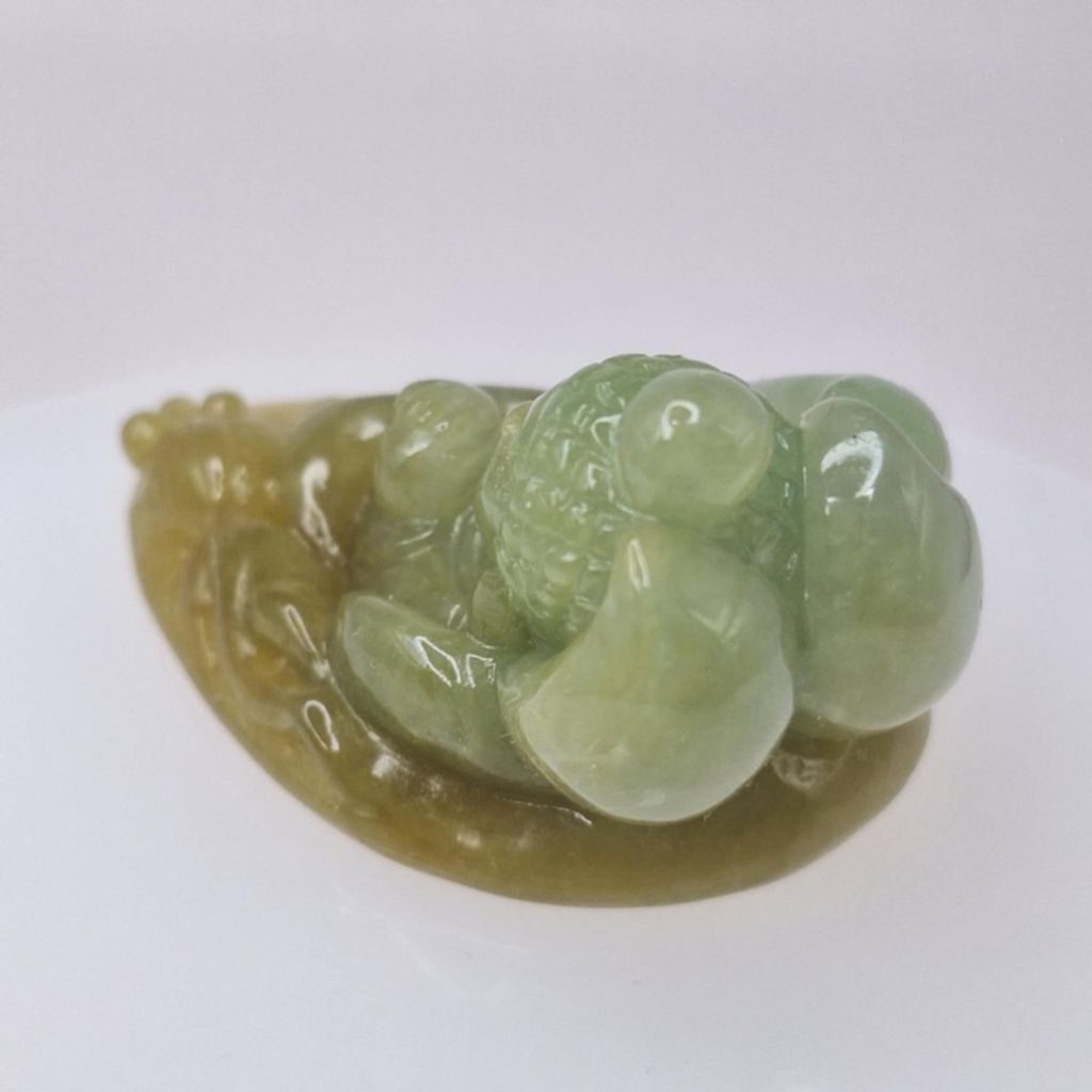 tw-11134207-7r98p-lyvtsvsfgffi2a