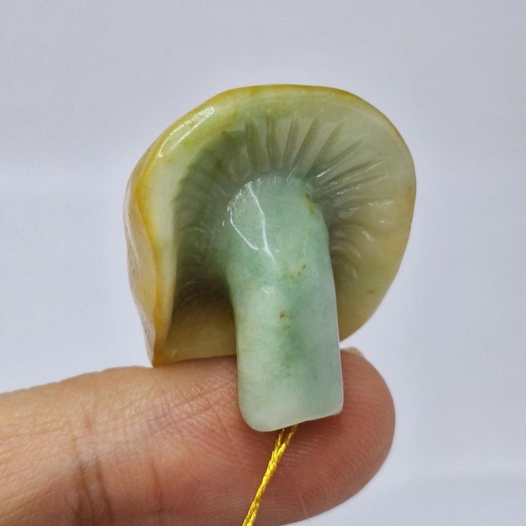 tw-11134207-7r98u-lyn3x3tw6tx0df