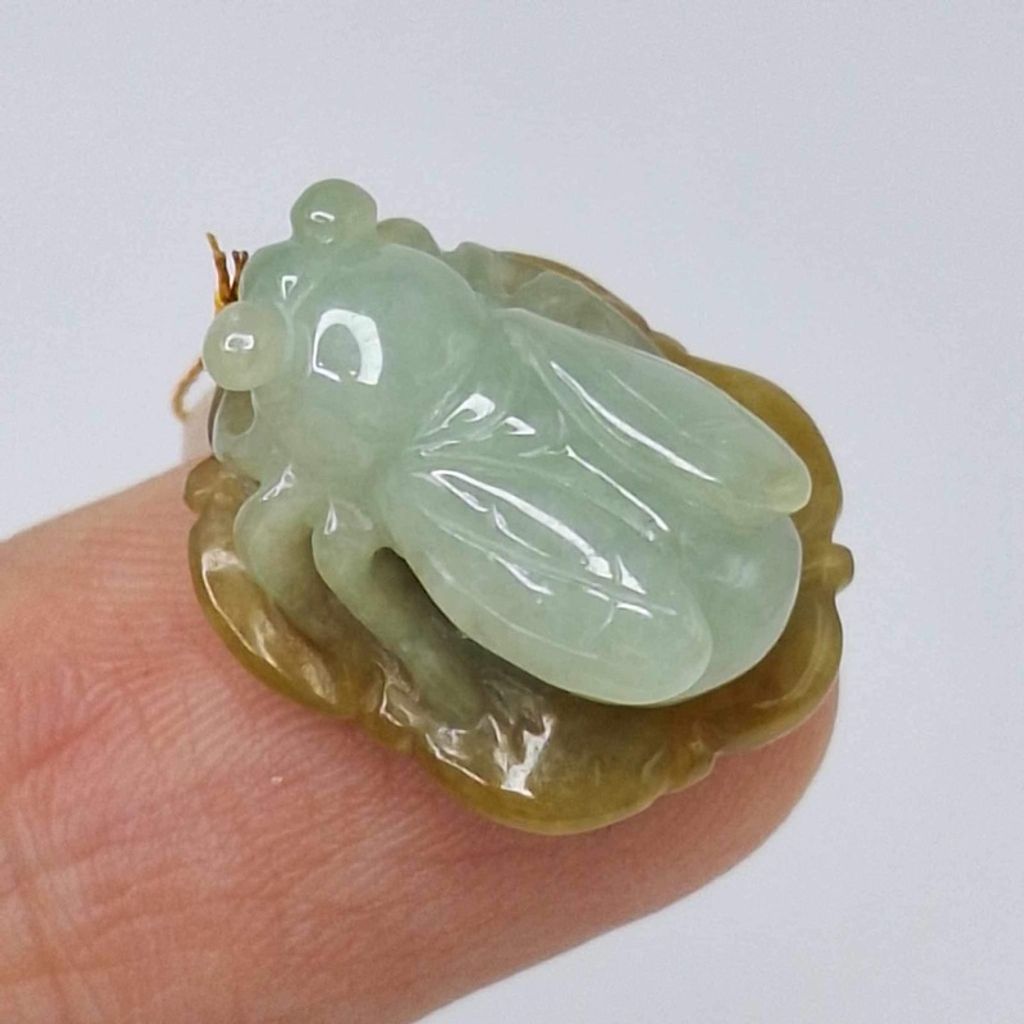 tw-11134207-7r98w-ly1oevsbvwva36