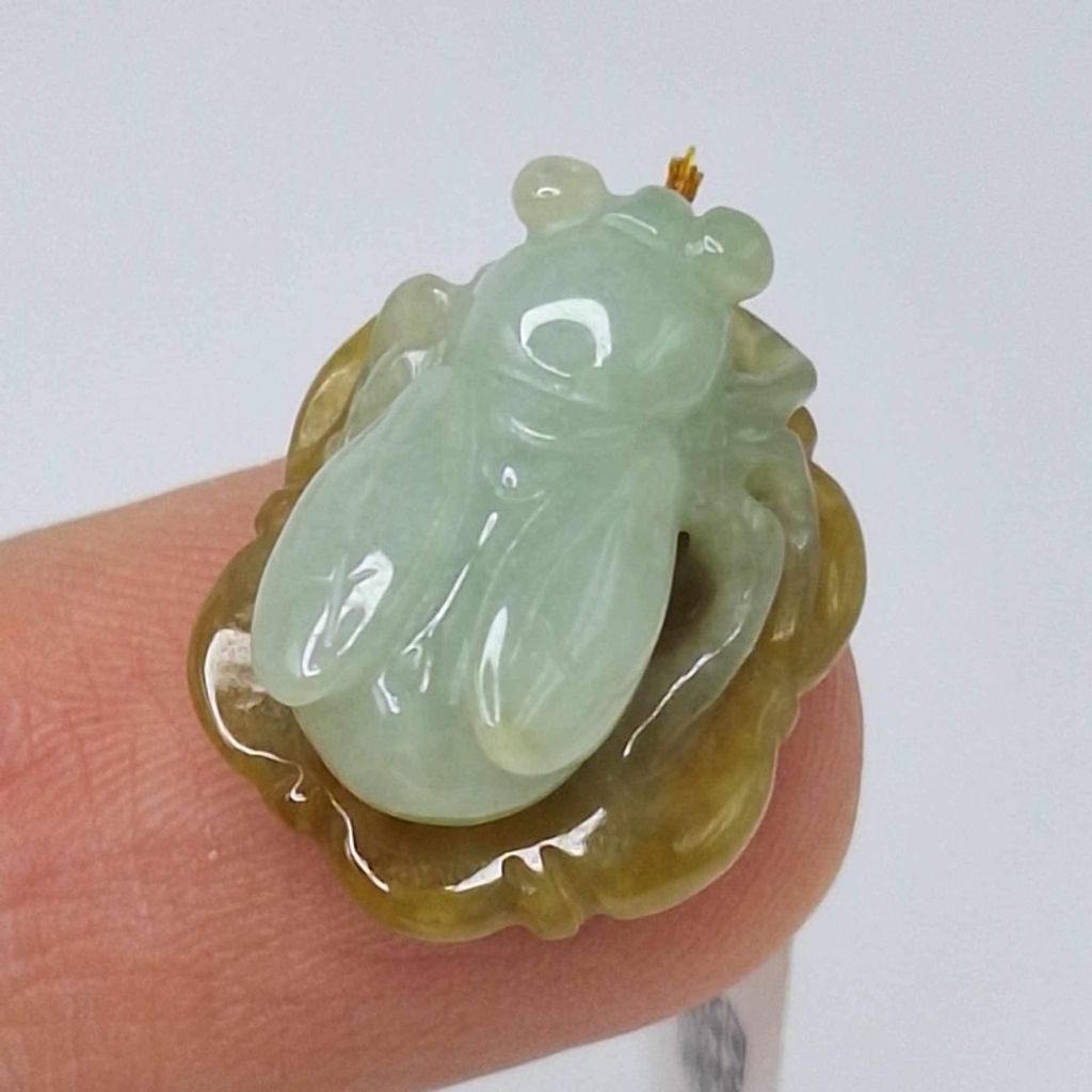 tw-11134207-7r98y-ly1oevsvwi0g24