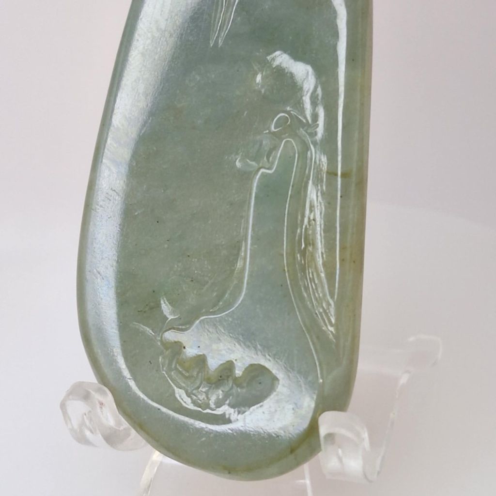 tw-11134207-7r98q-ly0gdohuyf521e