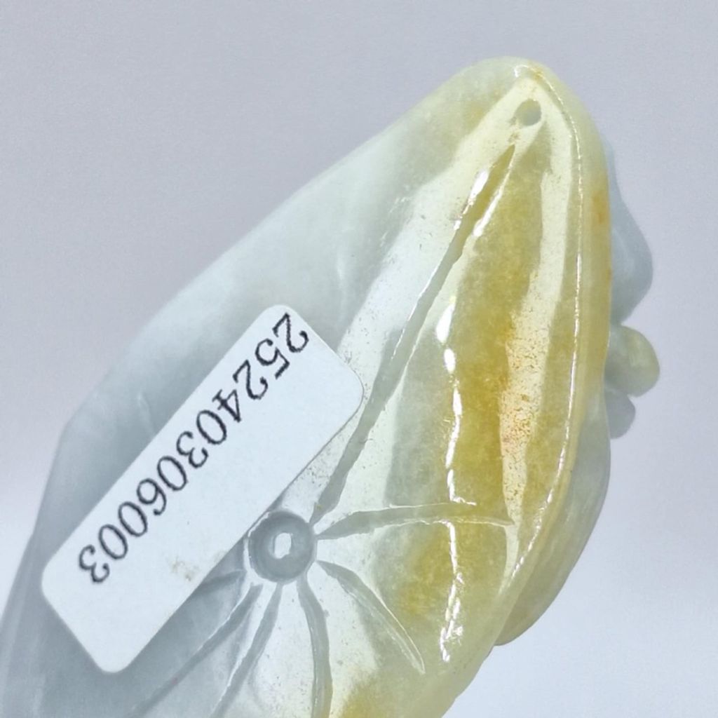 tw-11134207-7r991-lxuqdu2jt0km87