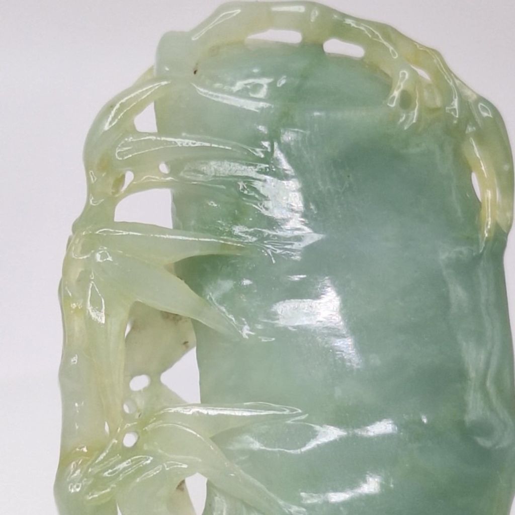 tw-11134207-7r98v-lxvtjzierpyo05