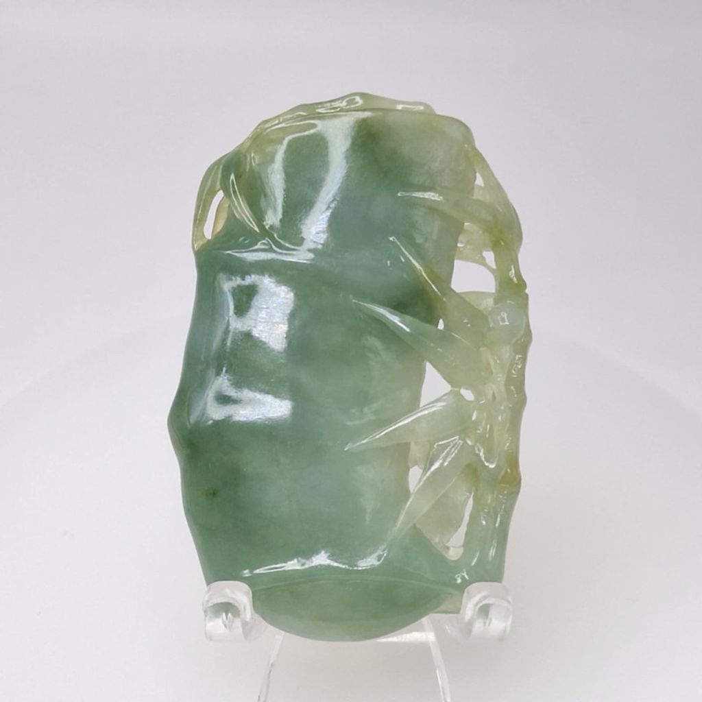 tw-11134207-7r98q-lxvtjzifmmggea