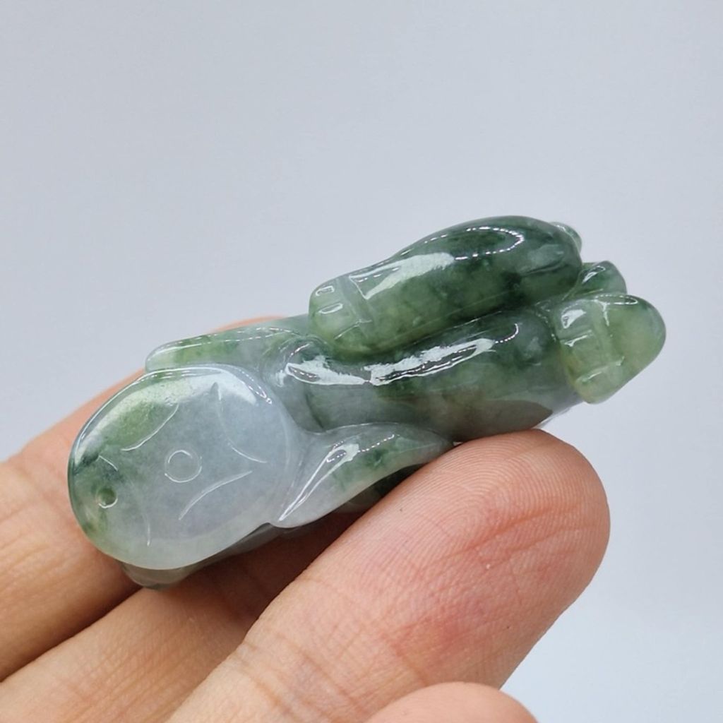 tw-11134207-7r991-lxui88yefciu6f