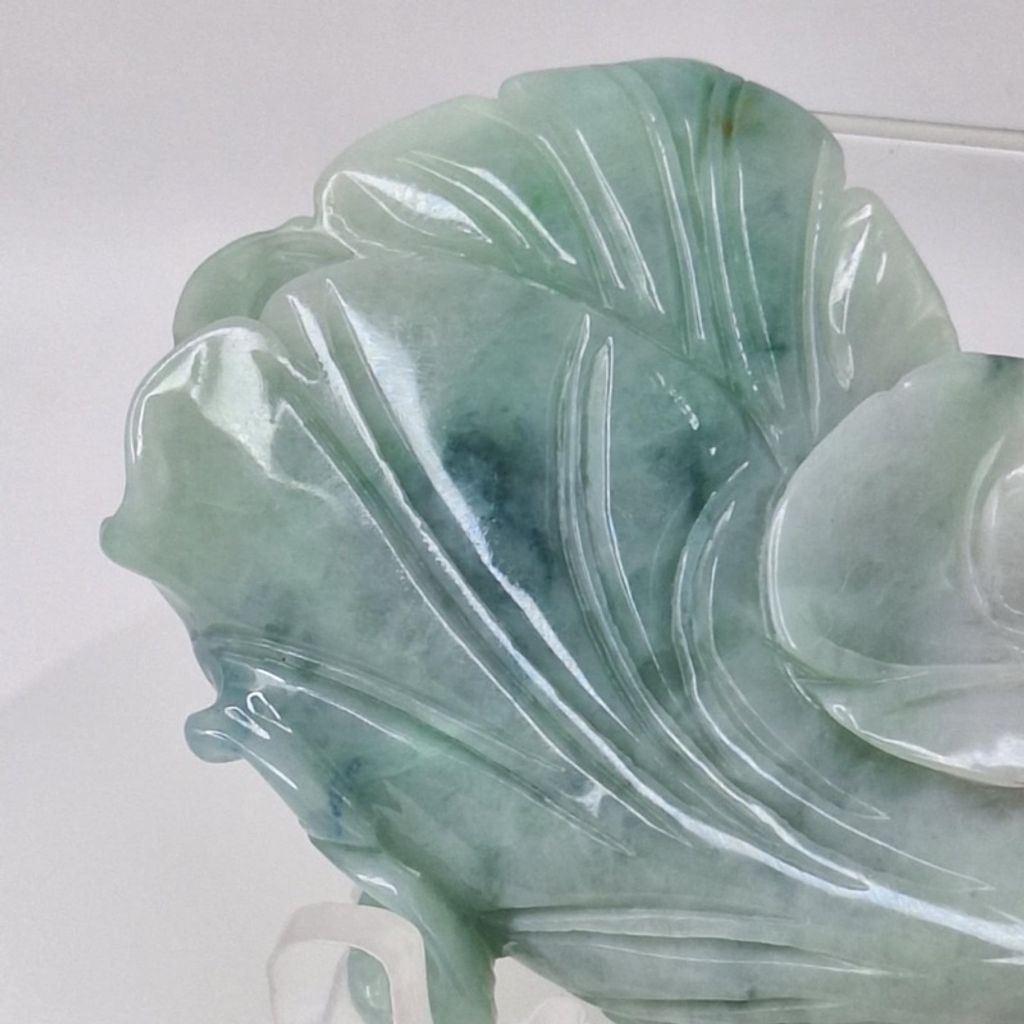 tw-11134207-7r98s-lxrlrj3c3nlca6