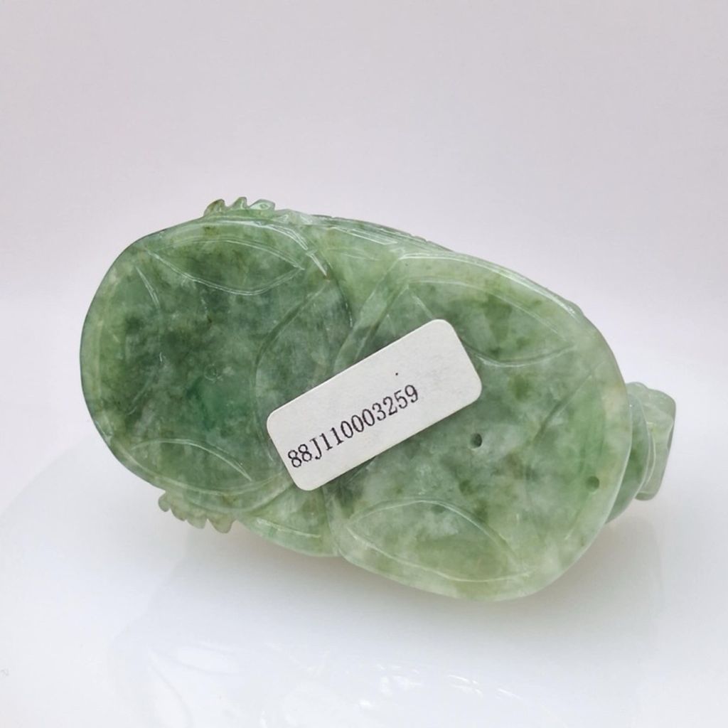 tw-11134207-7r98s-lxrrakkxuh46a8