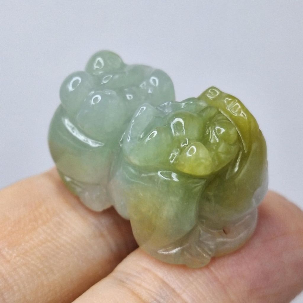 tw-11134207-7r98u-lxqk1il9olyo12