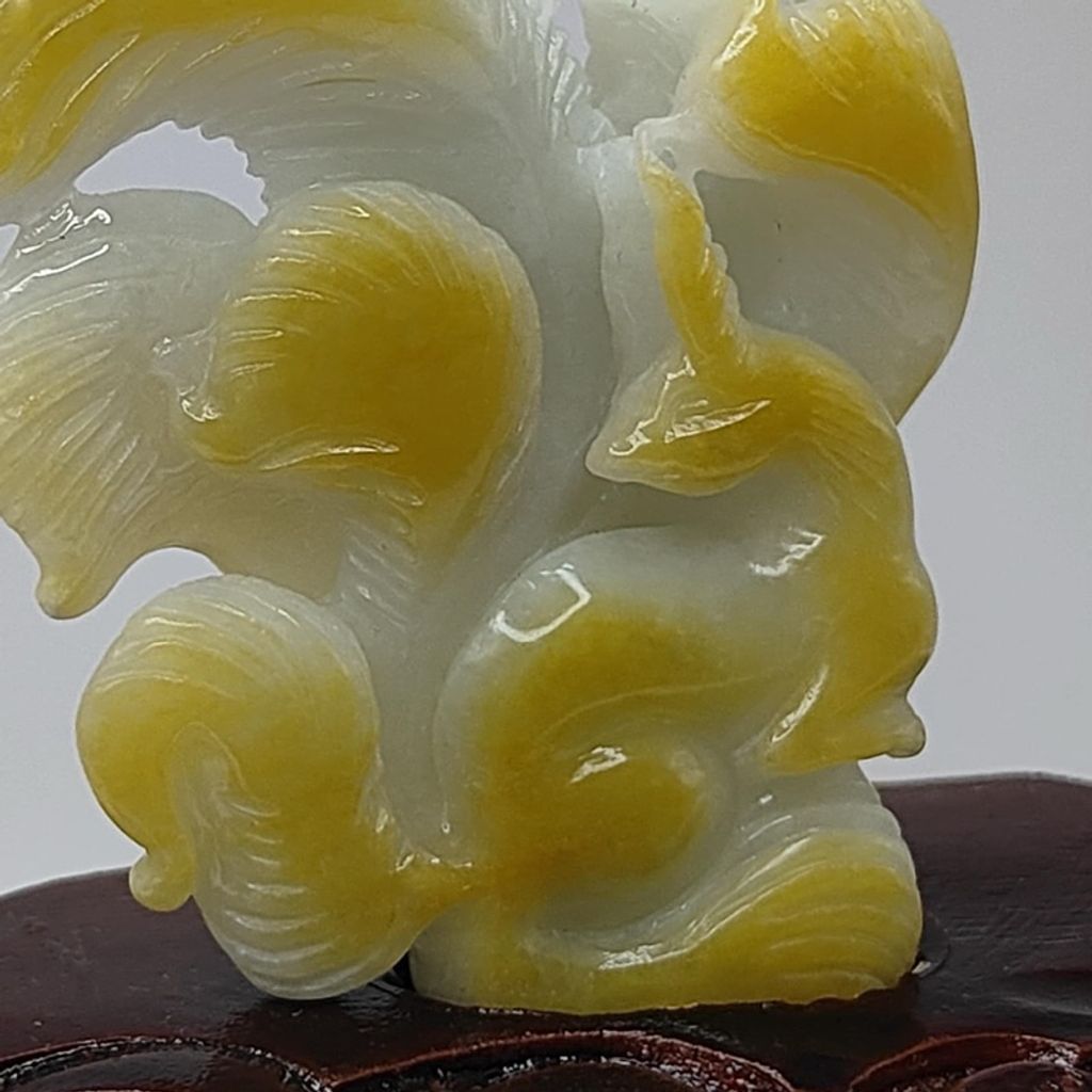 tw-11134207-7r98s-lxrlrj3ba5o0df