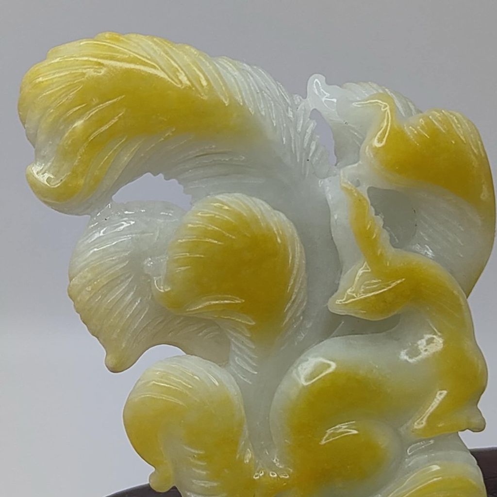 tw-11134207-7r98z-lxrlrj3ba5uu6f