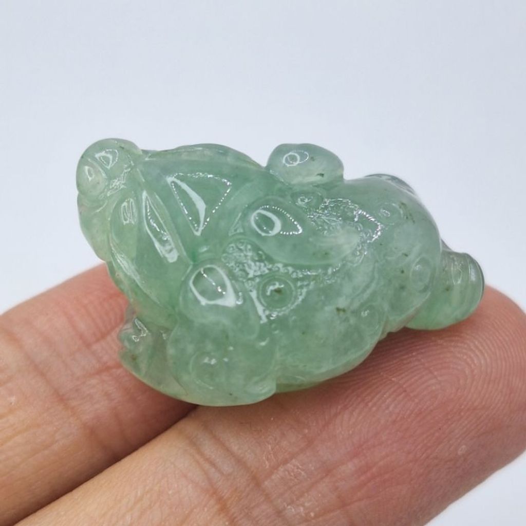 tw-11134207-7r98o-lxnjimcxm1io4b