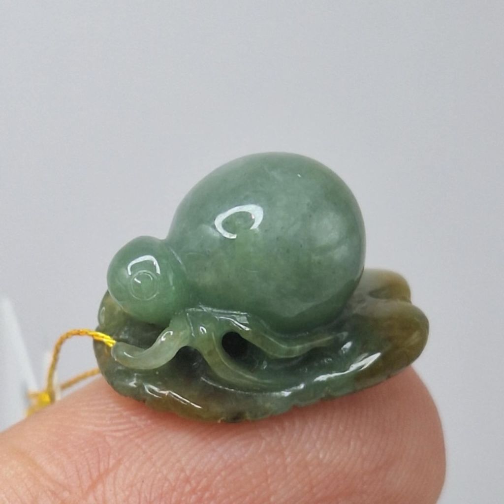 tw-11134207-7r98o-lxq88i2o4xlybe