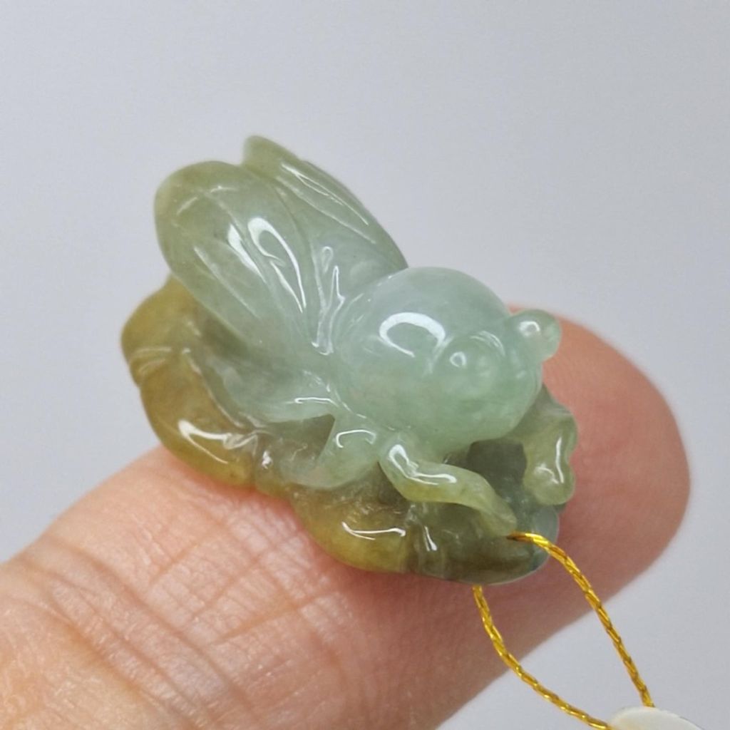 tw-11134207-7r98o-lxq8wot7x1rk2a